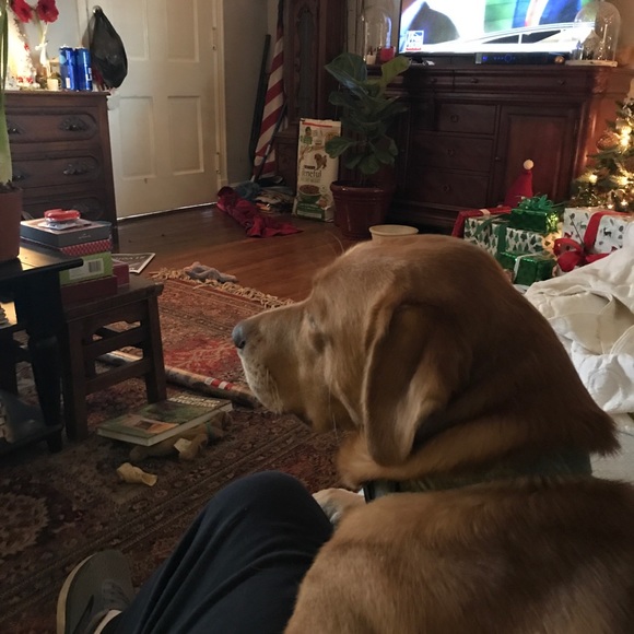 Meet your Posher, Jason - Picture 1 of 1